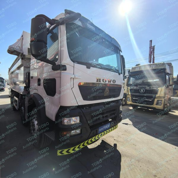 HOWO 371TX 8X4 Dump Truck - 图片 9