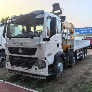 Shagang HOWO TX 8x4 Chassis With On-board Crane