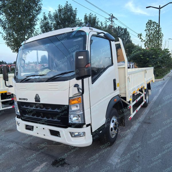 Shagang HOWO 4x2 60cm Box Truck - 图片 4